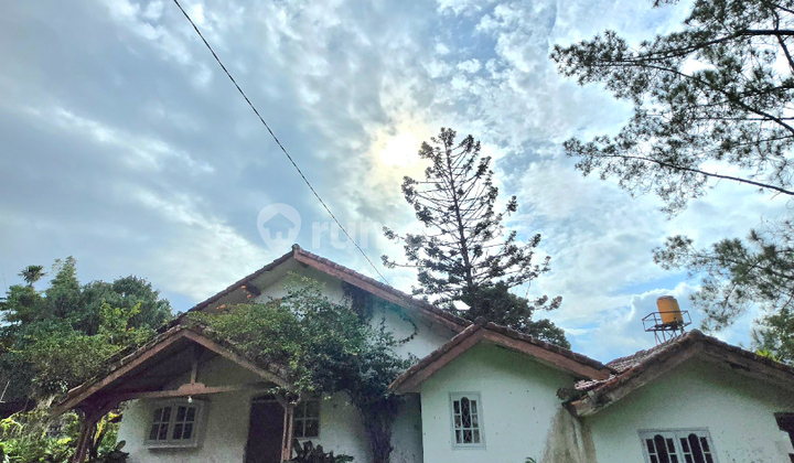 Dijual Vila Murah Harga Di Bawah Njop Di Cisarua Puncak