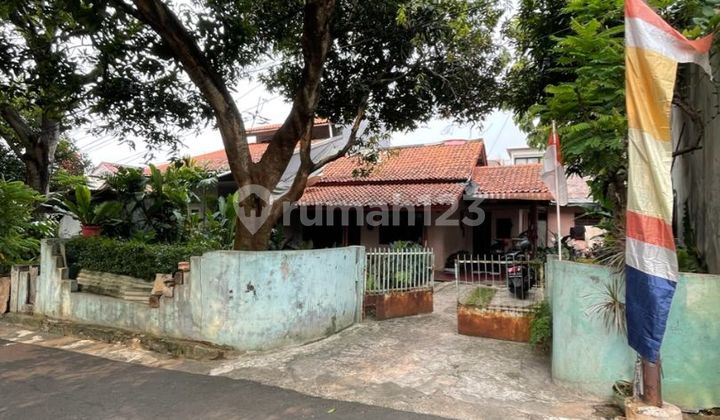 Rumah Tua Hitung Tanah Dalam Komplek Mpr Cilandak Jakarta Selatan

 2