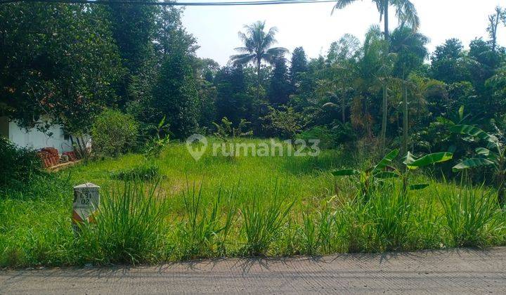 Tanah Termurah Dekat Jalan Lokasi Strategis 1,5 Jt/meter Bisa Nego 1