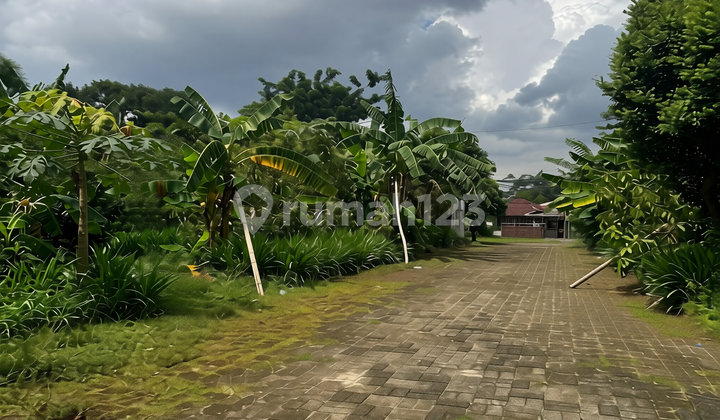 Dijual Tanah Jl Joe Jagakarsa Jakarta Selatan Dijual Tanah Jl Joe Jagakarsa Jakarta Selatan