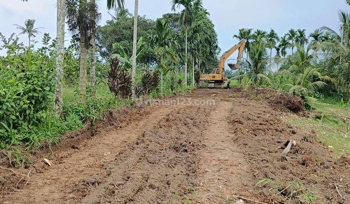 Hot Project Tanah Kavling 2menit Ke Pajak Melati Total 110 Kavlin 1