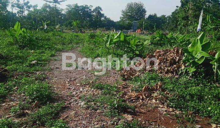 TANAH KAPLING PESONA ALAM MULAWARMAN TEMBALANG 2