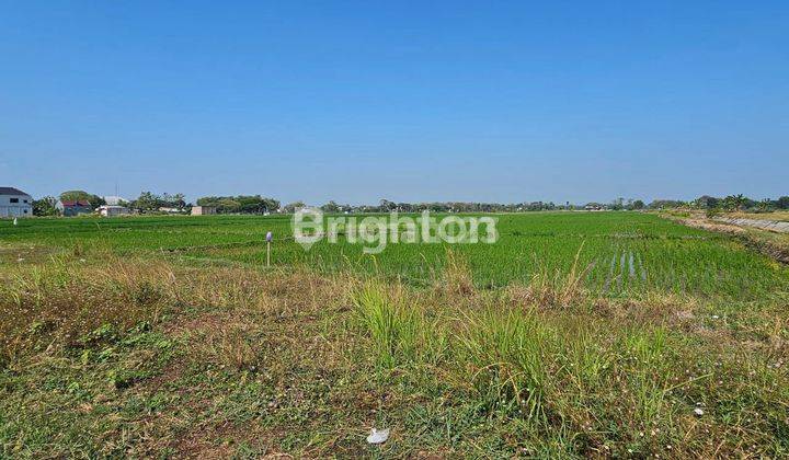 Tanah Zona Merah Siap Bangun Di Desa Gondang Sragen 2