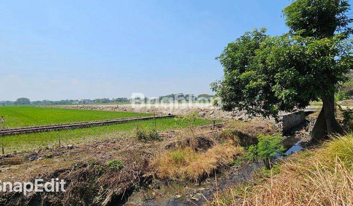 Tanah Zona Merah Siap Bangun Di Desa Gondang Sragen 1