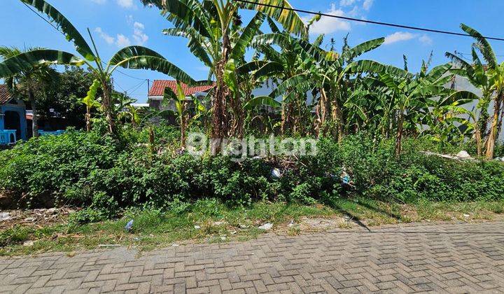 TANAH HOOK SIAP BANGUN CANDI PENATARAN SEMARANG BARAT 2