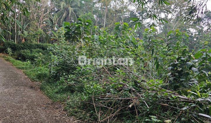 TANAH MURAH STRATEGIS UNTUK INVESTASI GONDORIYO BERGAS SEMARANG 2