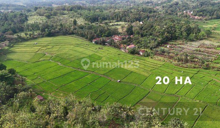 Tanah Luas Harga Permeter Di Cibinong Hilir Cianjur 1