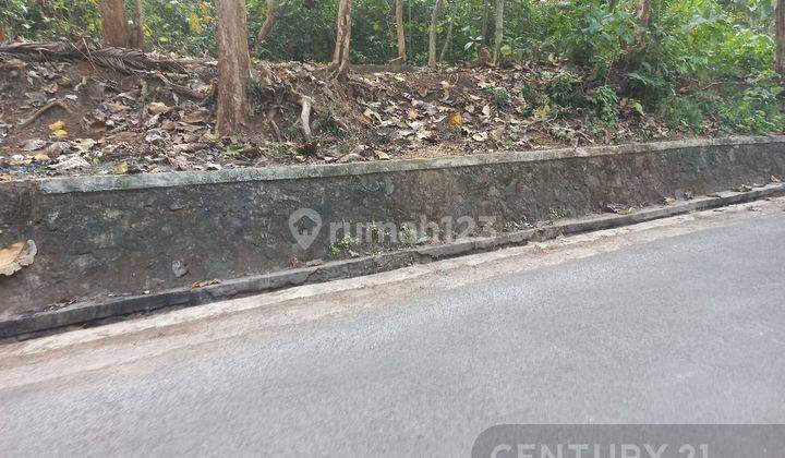 Tanah Berikut Pohon Jati Ciwandan Dekat Pelabuhan 2