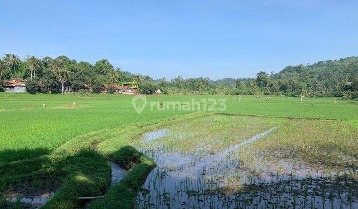 Tanah Strategis dan Luas Cocok Untuk Usaha di Cibinong Hilir Cianjur Jawa Barat  1