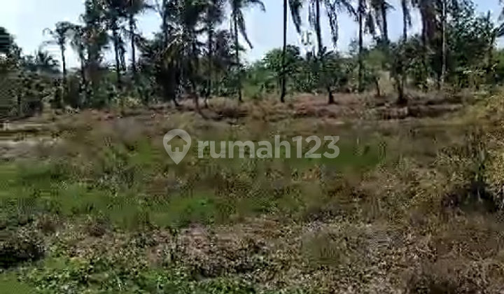 Strategic Plot of Land in Karang Bolong Village, Pandeglang, Banten