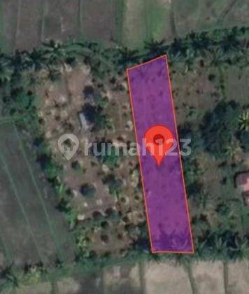 Land For Sale Buleleng Area mr 1