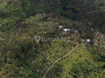 Land For Sale Buleleng Area mr 2