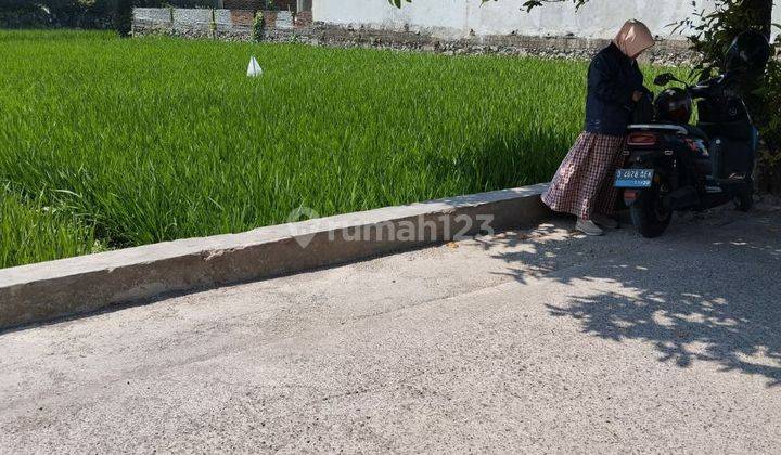 Tanah Sawah Murah Cocok Untuk Investasi Cileunyi Bandung 2