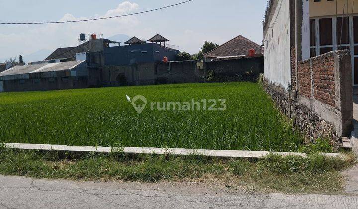 Tanah Sawah Murah Cocok Untuk Investasi Cileunyi Bandung 1