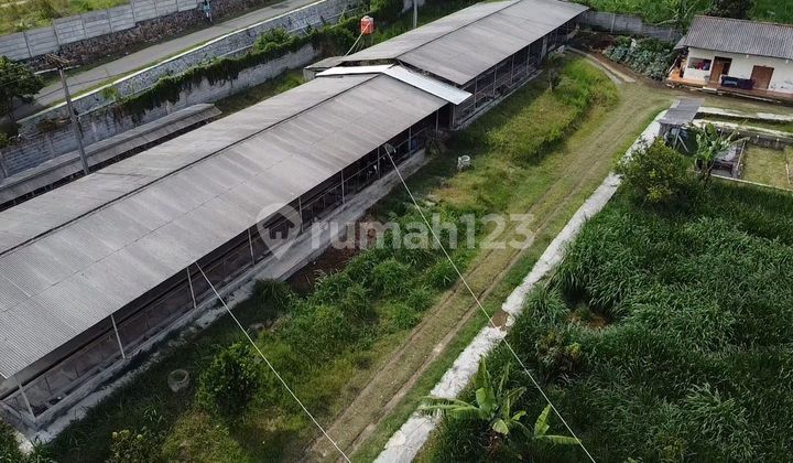 Dijual Villa Dan Peternakan Cocok Untuk Investasi Lembang Bandung