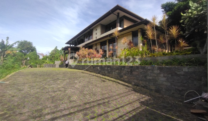 Rumah Murah View City Luas 1500 M2 Setiabudi Bandung Rumah Murah View City Luas 1500 M2 Setiabudi Bandung