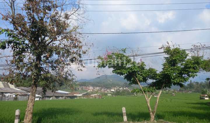 Tanah di Mainroad Ciwidey Lokasi Strategis