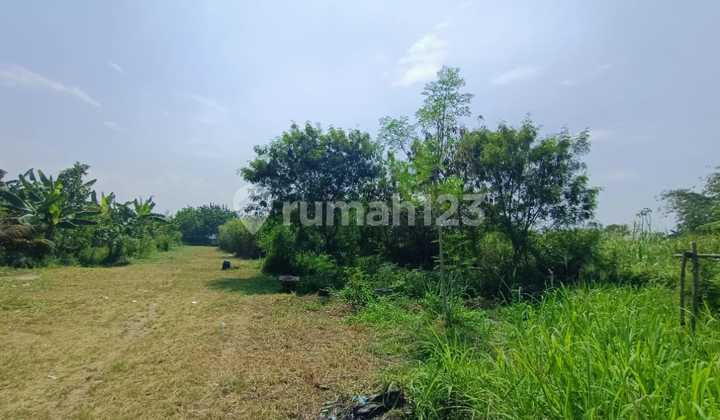 Kavling Siap Bangun di Gajah Mekar Kutawaringin Kavling Siap Bangun di Gajah Mekar Kutawaringin