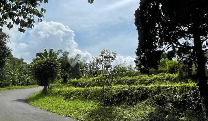 Kavling Exclusive di Eldorado Lokasi Strategis