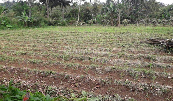 Tanah Luas lokasi dekat Akses Tol di Sukabumi, EW 1