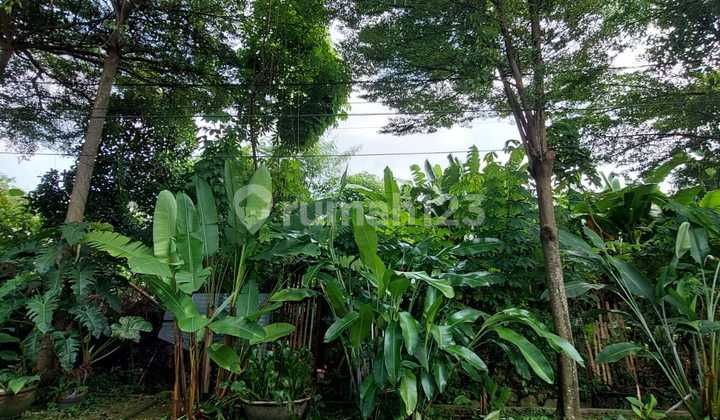 Tanah Siap Bagun di Lokasi yang Asri @Cinere (Ew) Tanah Siap Bagun di Lokasi yang Asri @Cinere (Ew)