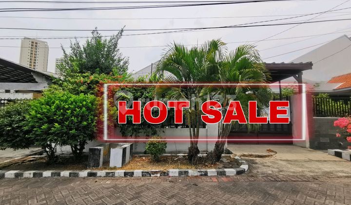 Murah, Hitung Tanah , Rumah Kupang Indah Dkt Sukomanunggal 2