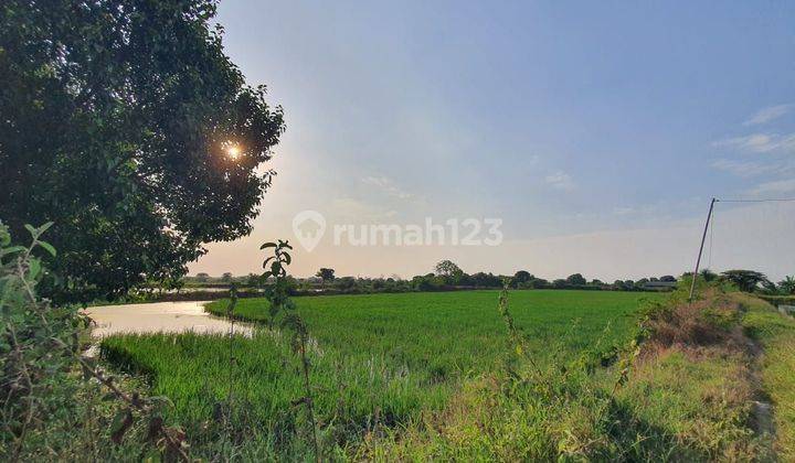 Tanah Industri SHMdi Raya Metatu Gresik Jawa Timur  1