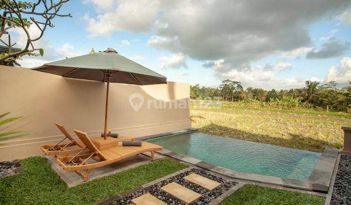 For Rent Beautiful and Quiet Villa with Rice Field View in Ubud, Gianyar 2