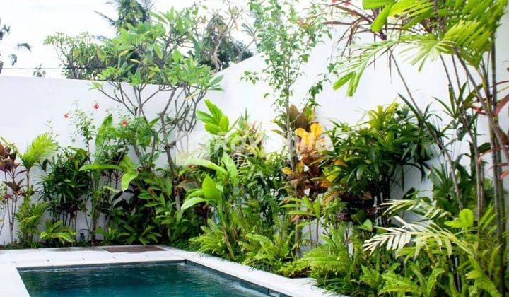 Dijual Sewa 23 Tahun Villa Baru Area Petitenget, Seminyak 4