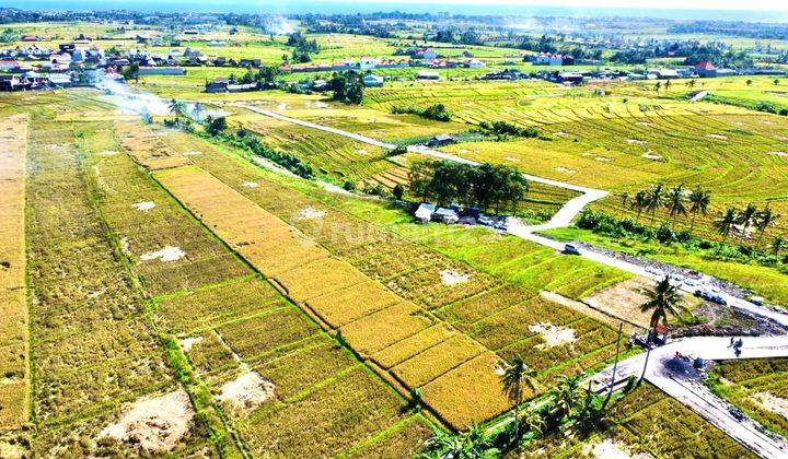 Dijual Tanah 4 Kavling View Sawah di Munggu, Badung 1
