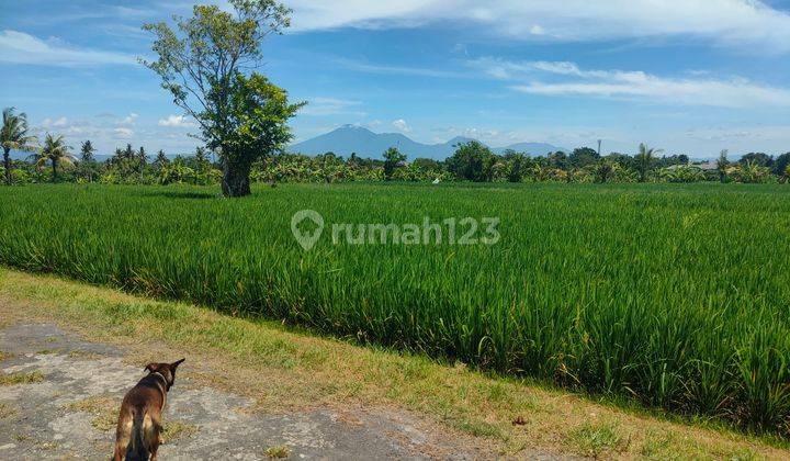 1br House With A Ricefield And Mountain View In Kedungu, Tabanan 7