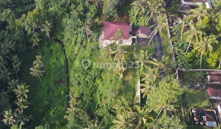 Dijual Tanah 13 Are Cocok Dibangun Villa Impian di Gianyar  2