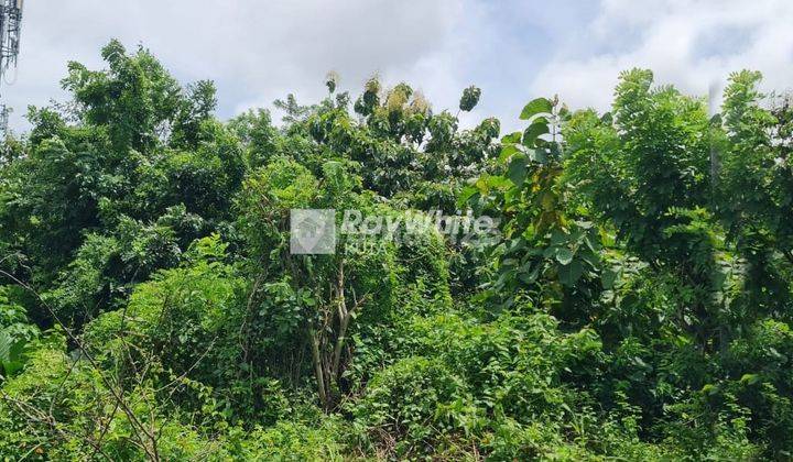 4.95 Are of Land for Sale on the Side of Jimbaran Main Road, Badung 2