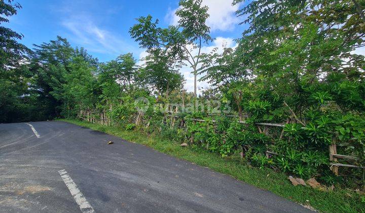 60 Are of Land for sale on the side of Pecatu Road, Uluwatu 1