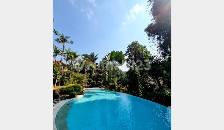 Dijual Villa Luas di Tanah 44 Are Furnished Siap Huni di Kediri Dijual Villa Luas di Tanah 44 Are Furnished Siap Huni di Kediri