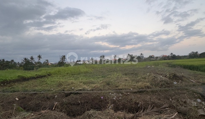 Dijual Tanah 26 Are di Jalan Pantai Munggu, Seseh