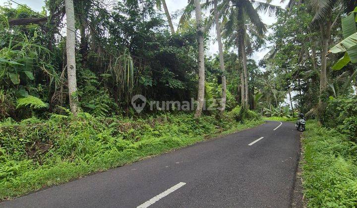 Dijual Tanah 20 Are View Sawah Akses Aspal di Kenderan, Gianyar 2