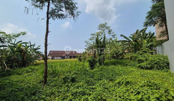 Dijual Tanah 6,7 Are View Sawah Siap Bangun di Babakan 1