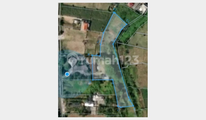 Disewakan Tanah 60 Are Strategis Cocok Untuk Lapangan di Kesiman Disewakan Tanah 60 Are Strategis Cocok Untuk Lapangan di Kesiman