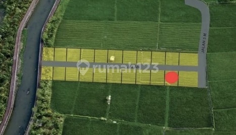 Dijual Tanah 1 Are Cocok Untuk Villa di Seminyak, Badung Dijual Tanah 1 Are Cocok Untuk Villa di Seminyak, Badung