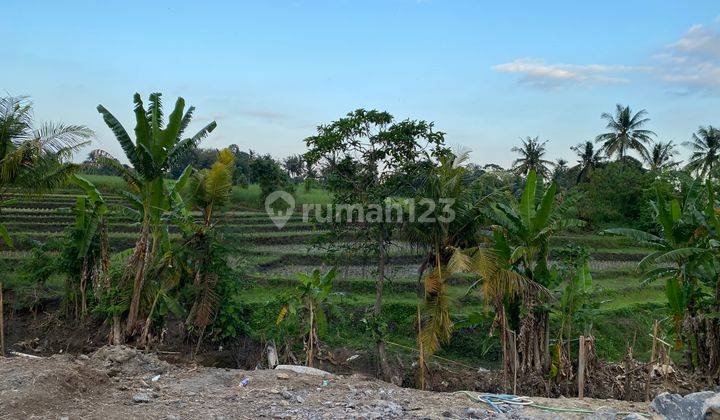 Dijual Tanah Kavling Murah Mulai 1,5 Are Dekat Pantai Gangga 1