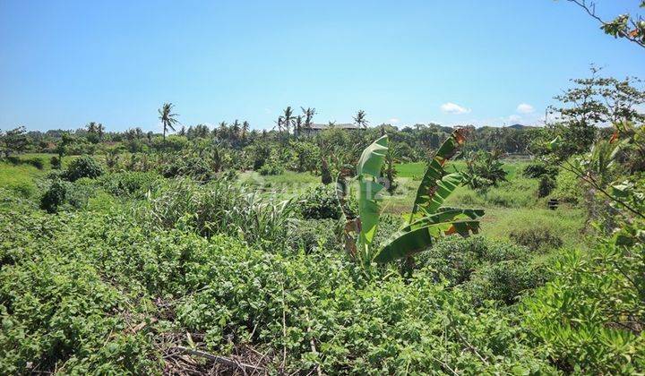 Dijual Tanah 1 Ha Akses Jalan Utama Dan Pantai Lebih, Gianyar 2