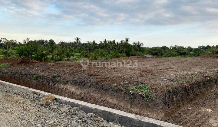 Dijual Tanah Kavling Murah Mulai 1,5 Are Dekat Pantai Gangga 2