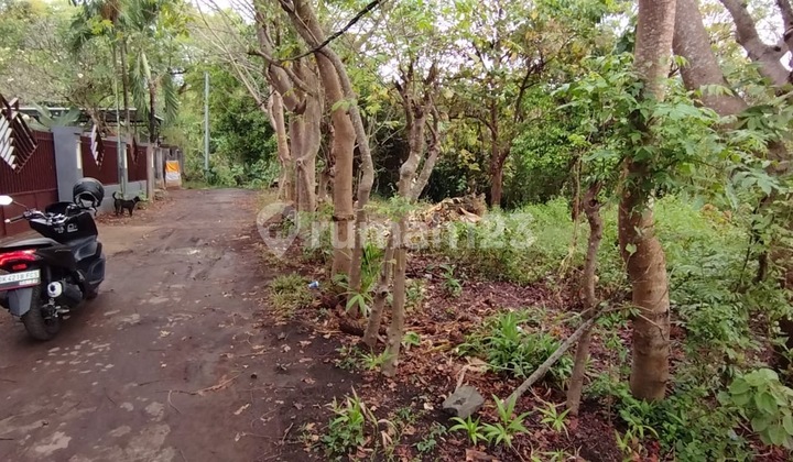 Dijual Tanah 5,8 Are Lingkungan Villa Dekat Pantai Lovina