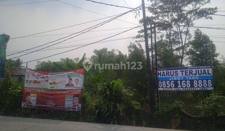 Tanah Kebun Gaharu Luas Dan Muran di Raya Dago, Parung Panjang, Bogor 2