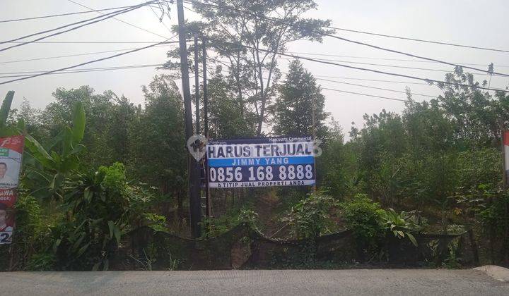 Tanah Kebun Gaharu Luas Dan Muran di Raya Dago, Parung Panjang, Bogor 1