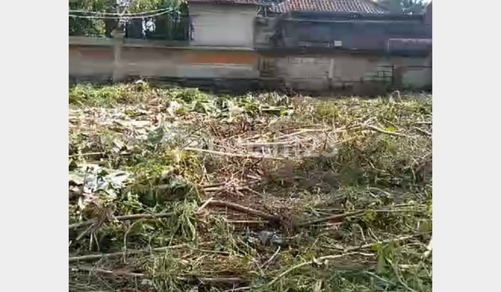 Dijual Cepat Murah Tanah Jl Raya Mas Gianyar Cocok Untuk Usaha Dijual Cepat Murah Tanah Jl Raya Mas Gianyar Cocok Untuk Usaha