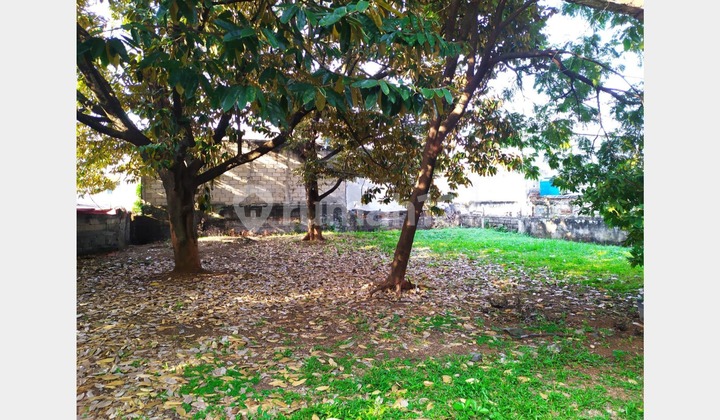 Dijual Cepat Murah Lahan Luas Mampang Prapatan Jarang Ada