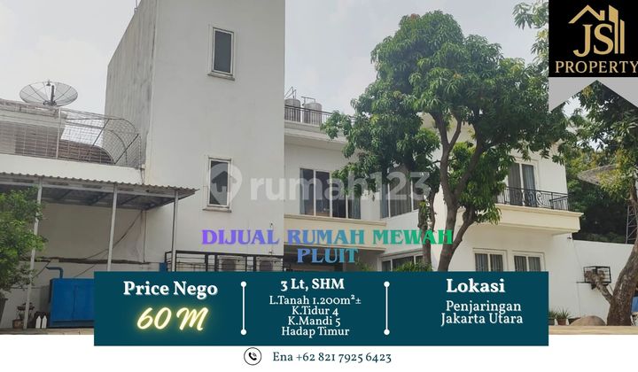 Dijual Rumah Mewah 3 LT Pluit SHM Bebas Banjir SHM Penjaringan Jakarta Utara 2