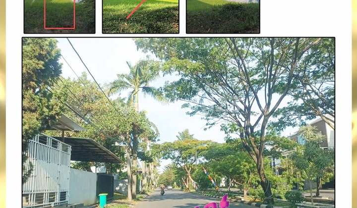 Dijual Kavling Boeulevard Di Citra 2 Ext Hadap Selatan Dijual Kavling Boeulevard Di Citra 2 Ext Hadap Selatan